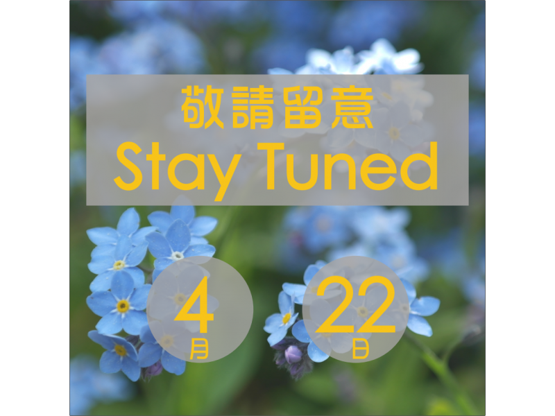 staytune