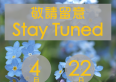 staytune
